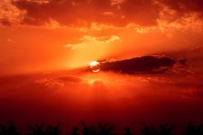 sunset-3703617_960_720.jpg