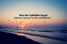 FB_IMG_1622241848243.jpg