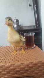 20210603_110419.jpg