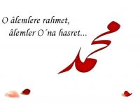 FB_IMG_16057872967299627.jpg