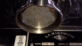 s-d8ad972136dfc7686e5d067e8d9a5ec7e6e2565a.gif