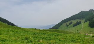 20210620_131857.jpg