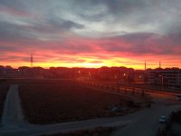 IMG_20201228_074917.jpg