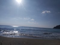 IMG_20201230_131400.jpg