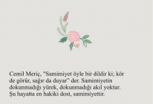 1624791624620.png