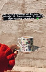 0dff5a4a9fae9ef88f4088db94d9f5de.jpg
