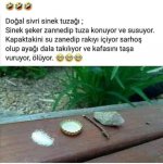 FB_IMG_1625048221216.jpg