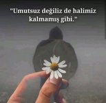 FB_IMG_15911972321512864.jpg