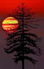 c95b8dc2a01e16f0ab89e782b3aab0d8.jpg