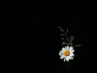 b11272f14ea0a0d72b7957cf6c1332f8.jpg