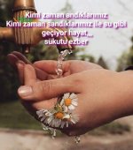 SC_Time_1605188258937.jpg