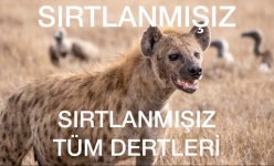 E8M7UErXIAseV9Q.jpeg