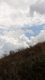20210624_133318.jpg