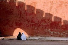 FB_IMG_16280060577001298.jpg FB_IMG_16280060577001298.jpg