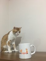 31243B4E-6AC5-43EE-A8AE-D296C670D43D.jpeg