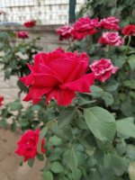 P10810-192853.jpg