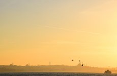 2021-08-10_10-43-21.jpg