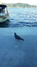 IMG_20210612_185951_178.jpg