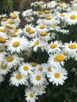 58CECB5A-C154-4BEB-8E9E-B8301DD6E683.jpeg