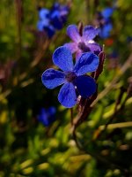 20170602_174116.jpg