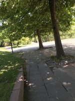 8FDE1174-2484-4EE2-8416-D2AEBC57188C.jpeg