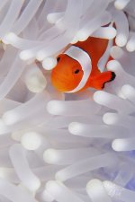 4309d49dbb9f97c7f761a8e54e40d3c4.jpg