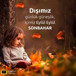 bf90c25c87c5c430d2436db9afe2bbe6.jpg