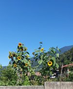 20210905_105127.jpg