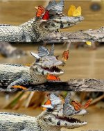 Screenshot_20210911-134140_Instagram.jpg