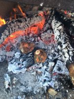 6D15856E-DF08-46B0-879F-BA2EDCEDBD79.jpeg