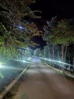 P11001-225543.jpg