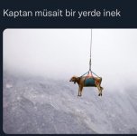 FAxrrG9XMAEiBSW.jpeg