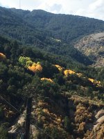07D01CAF-6DAE-4C05-B1FE-689BF2E82A26.jpeg