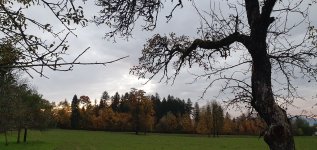 20211026_181014.jpg