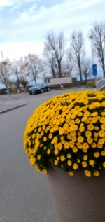 20211110_092831.jpg