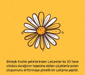 297b18d62.jpg