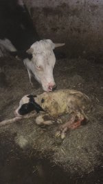 66E3D1C2-F76F-4ABF-B383-7DAAA27A96A1.jpeg