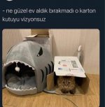 B176B8D1-3DAE-4341-998E-5D205F63A5BC.jpeg