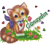 kedi-gifli-hareketli-günaydın-kartı.gif