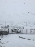 666F2D6E-B451-4CFE-9FA2-9C0DEC8547B4.jpeg