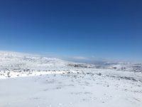 B09ED0C1-9A6C-4555-AF6A-8FC8A50A8294.jpeg