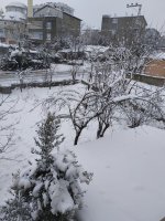 IMG_20220123_102759.jpg
