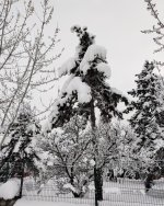 IMG_20220120_183801_758.jpg