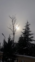 Screenshot_20220125-225657_Gallery.jpg