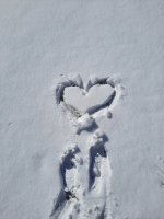 20220125_121445.jpg