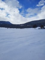 20220125_125400.jpg