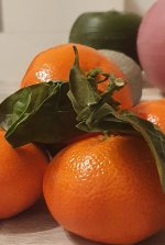 20220210_204012.jpg