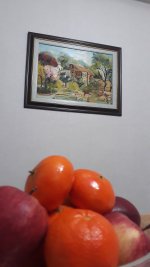 20220217_204553.jpg