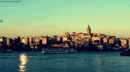 s-4d2a1e8b0c29b2b190097b054e88e737fe2713f2.gif s-4d2a1e8b0c29b2b190097b054e88e737fe2713f2.gif