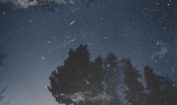 s-4a1b468b8e6c9b9984cbb8f21c4b2604e3dfa7fe.gif s-4a1b468b8e6c9b9984cbb8f21c4b2604e3dfa7fe.gif